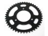 Driven sprocket, Rear